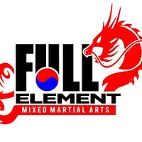 Full Element Martial Arts - Logo