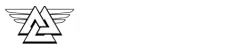 Immersion MMA Ringwood - Logo