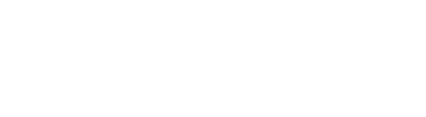 Foreveryone Brazilian Jiu-Jitsu - Logo