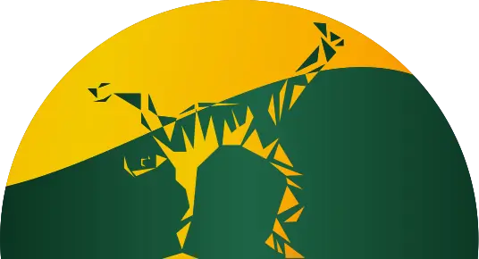 VILNIUS CAPOEIRA - Logo