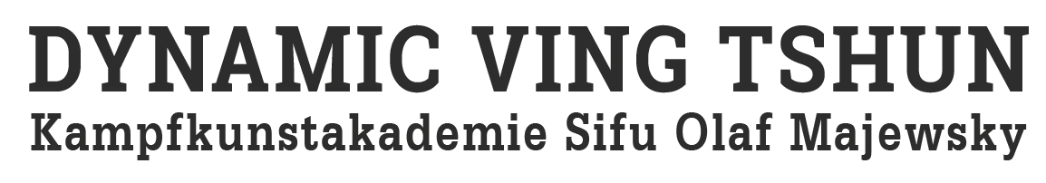 Dynamic Ving Tshun Wolfenbüttel - Logo