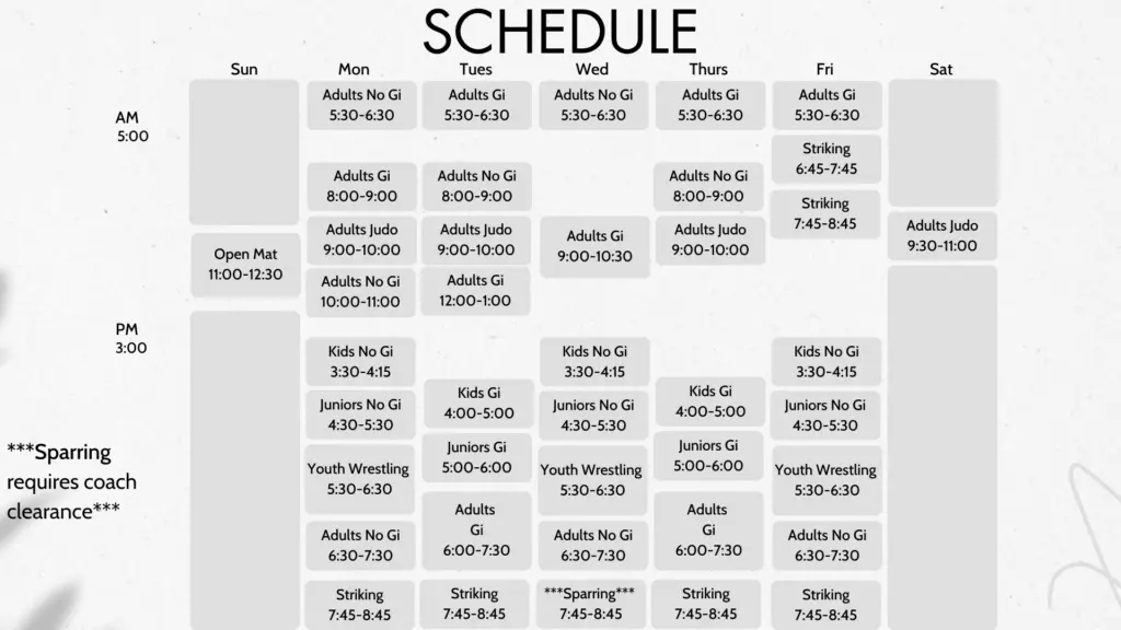 Class Schedule
